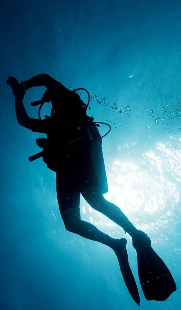 Why should you try scuba diving?