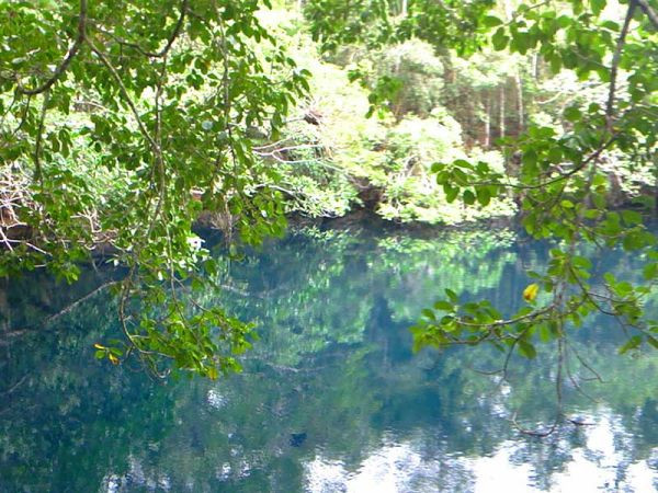 Cenote Angelita, near Tulum & Sian Kaan, Riviera Maya, Mexico
