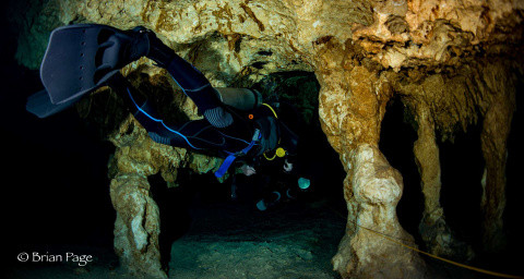 The best cenotes to Scuba Dive in the Riviera Maya