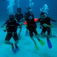 Blue Experience Diving in Ocean