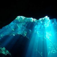 Cenote pic from underwater