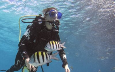 Blog 21 Tourism, diving and the COVID situation