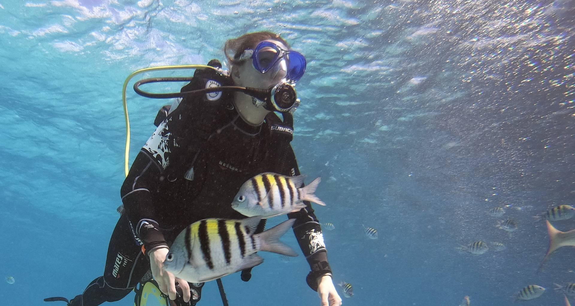 Blog 21 Tourism, diving and the COVID situation