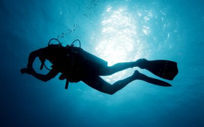 Blog 5 Explore the Deep Blue Sea: Top Reasons To Try Scuba Diving Today