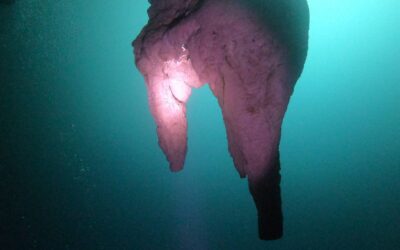Blog 19 A unique Cenote Dive, meet Angelita
