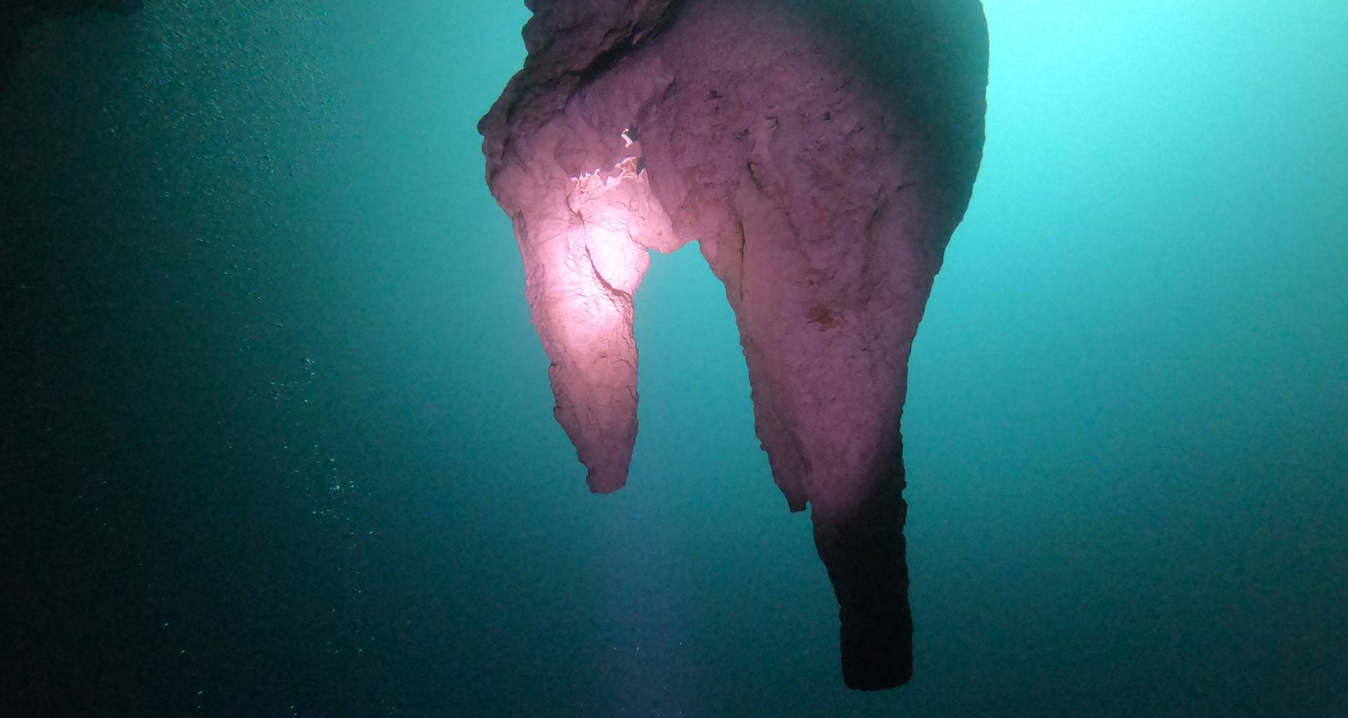 Blog 19 A unique Cenote Dive, meet Angelita