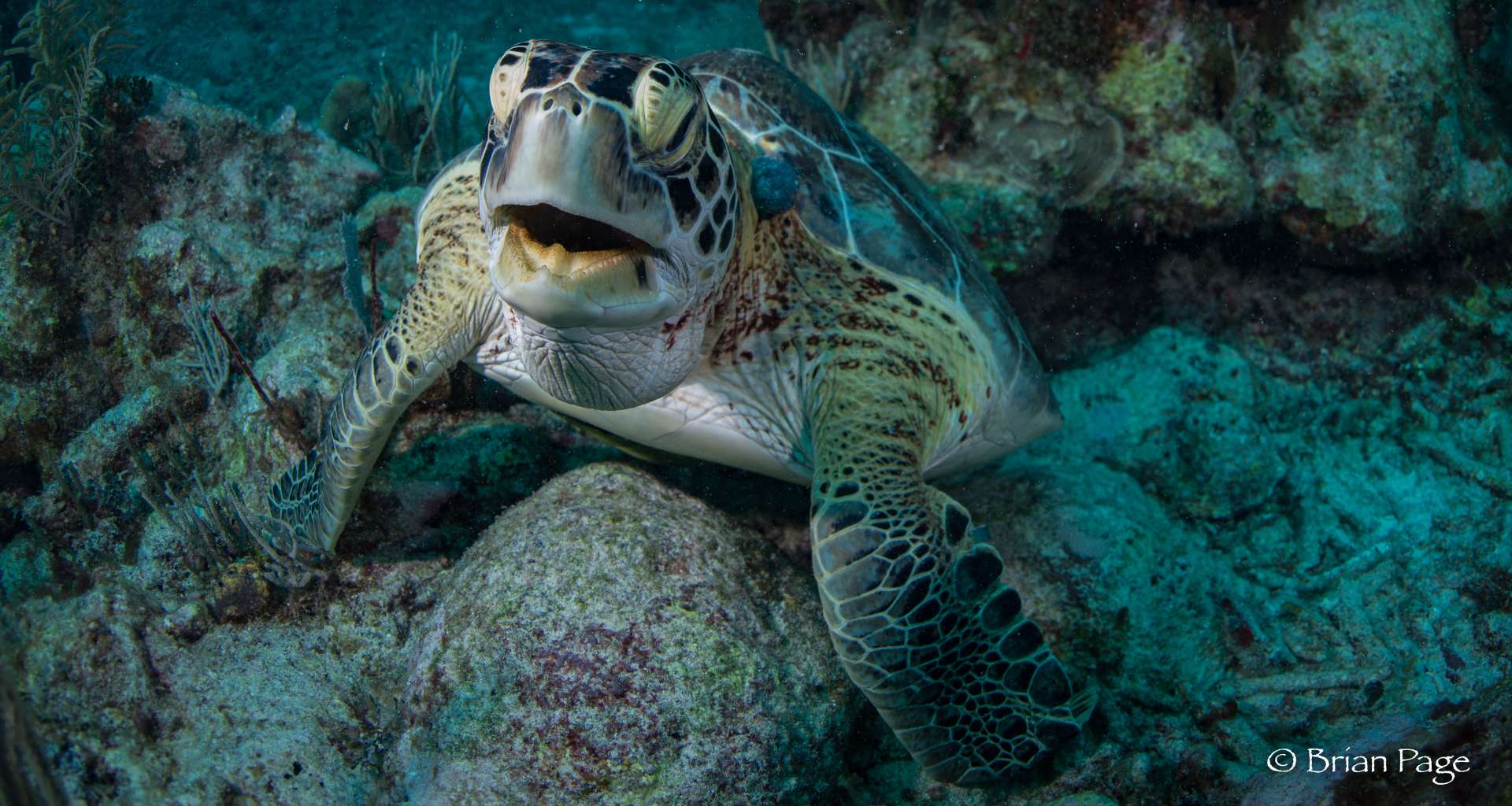 Blog 11 Ready to dive into the Riviera Maya? Here are 10 reasons why you should!