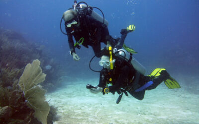 Blog 17 How to move on to the Advanced Open Water Certification