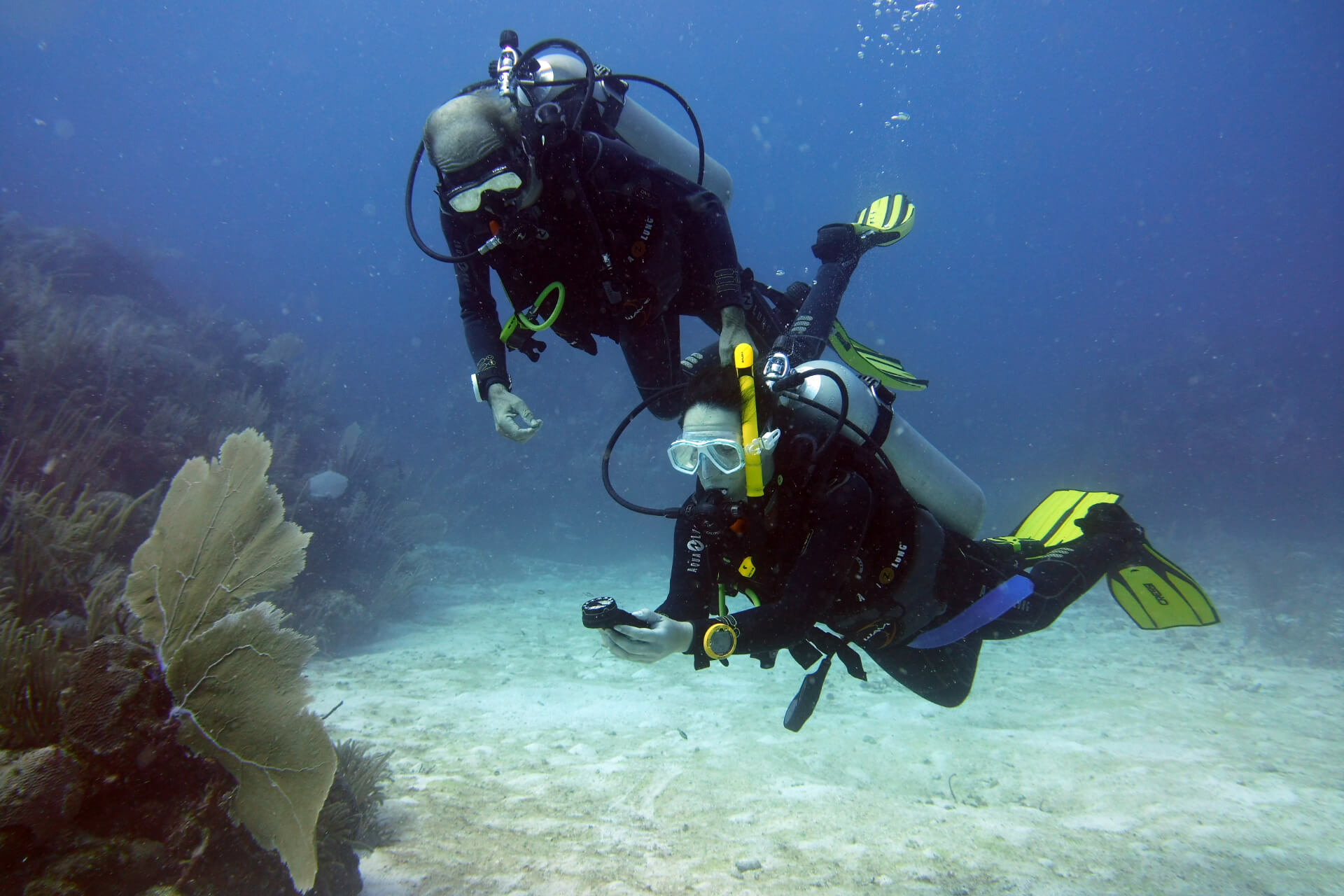 Blog 17 How to move on to the Advanced Open Water Certification