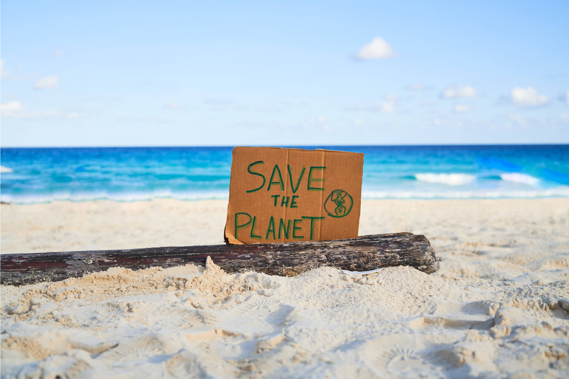 Blog 12 Celebrate Earth Day on April 22nd