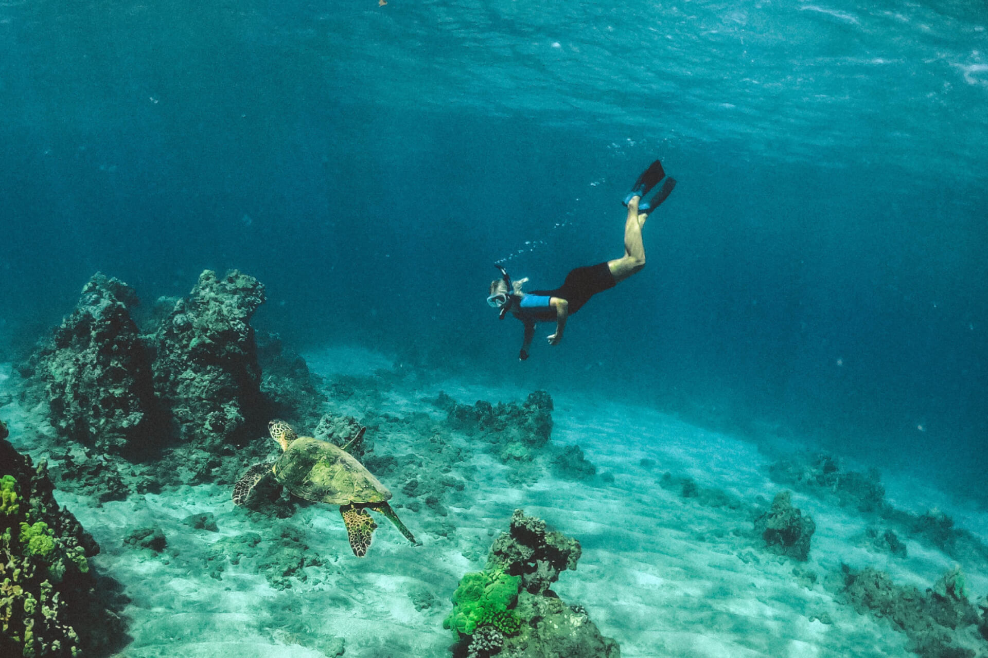 Blog 13 Scuba Diving vs. Snorkeling