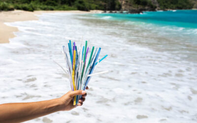 Blog 14 Global Recycling Day
