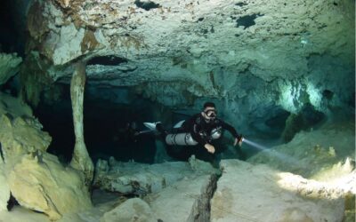 Blog 10 Cenote diving in Mexico – Everything you need to know for your first immersion into a magical ancient world