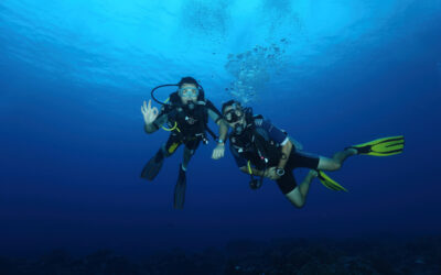 Blog 2 How to Plan the Perfect Scuba Diving Trip to Remember
