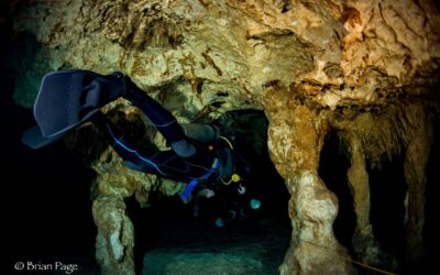 Blog 20 The best cenotes to Scuba Dive in the Riviera Maya