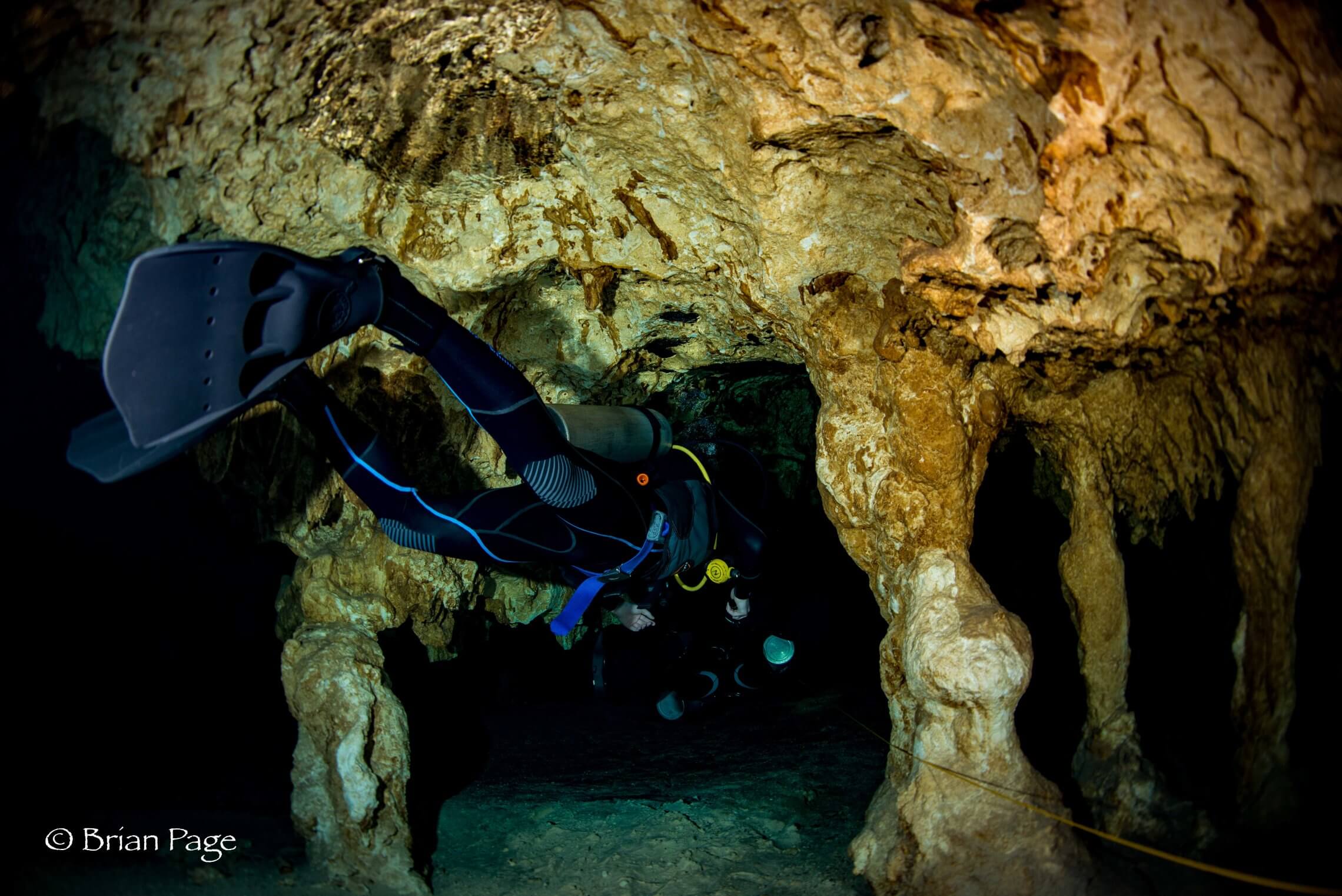 Blog 20 The best cenotes to Scuba Dive in the Riviera Maya