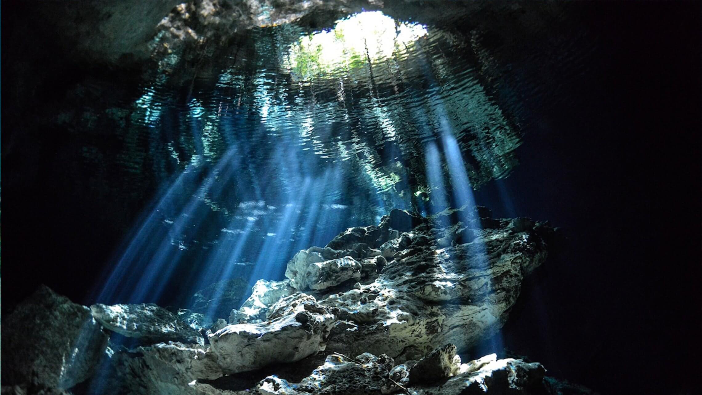cenote-diving-blue-experience-0023 cenote diving blue experience 0023