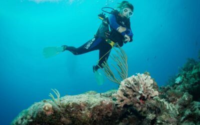 Blog 9 How to prepare for your Open Water Certification