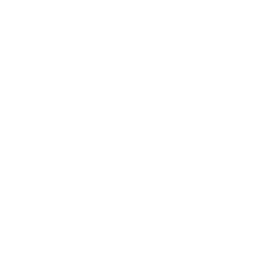 Accueil 1 turtle 6660542 white