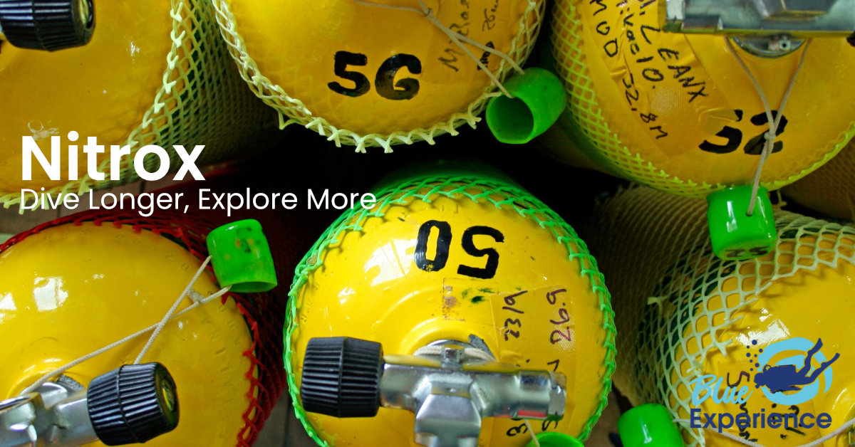 nitrox nitrox banner