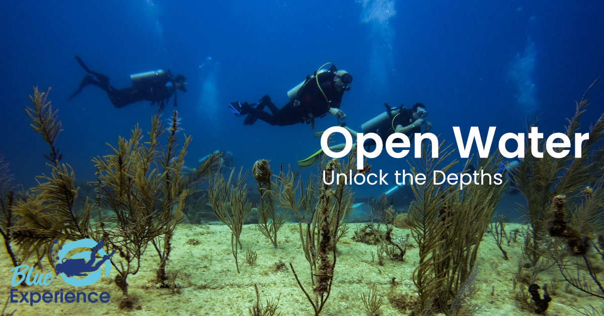 open-water open water banner