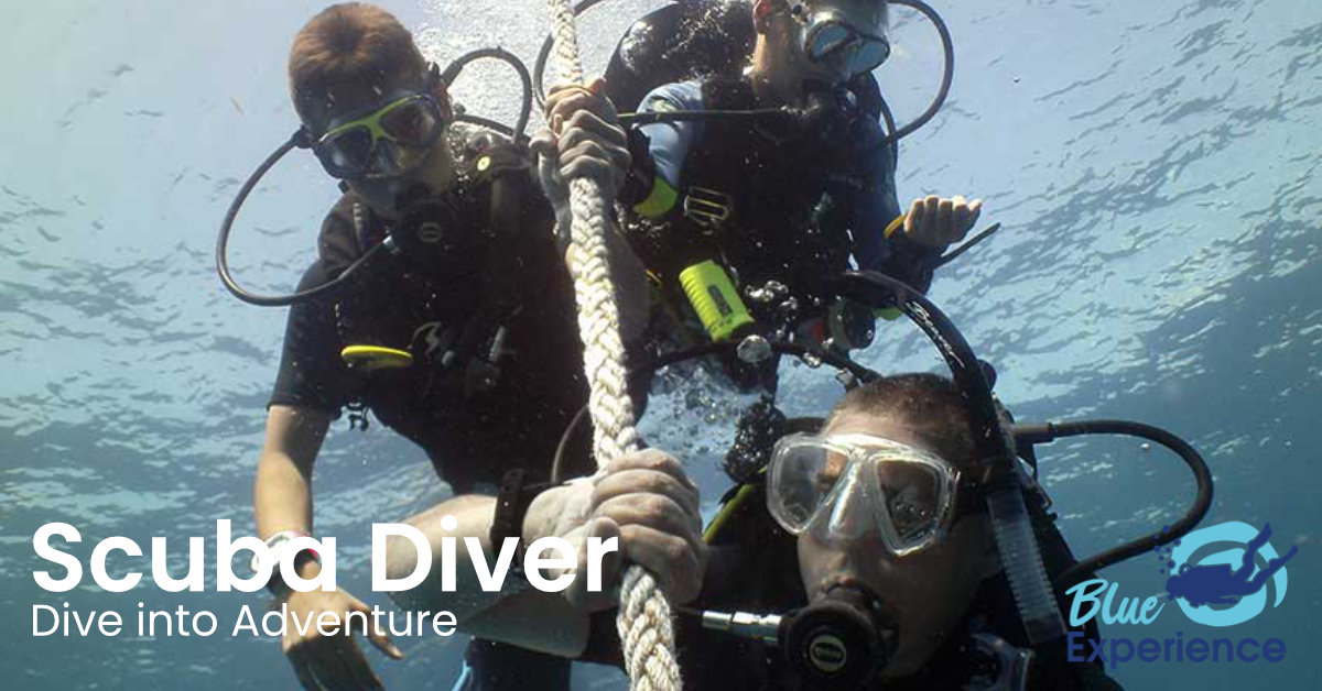 scuba-diver scuba diver banner
